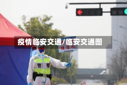 疫情临安交通/临安交通图