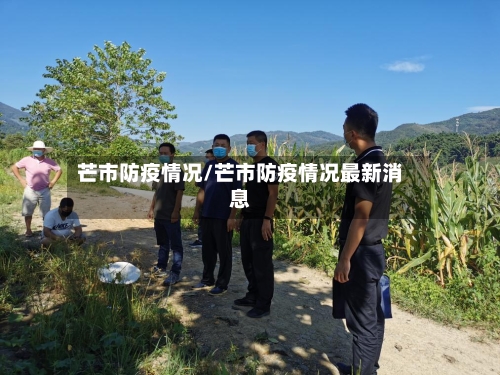 芒市防疫情况/芒市防疫情况最新消息-第2张图片