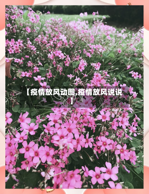 【疫情放风动图,疫情放风说说】