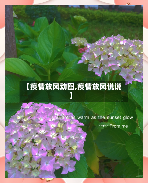 【疫情放风动图,疫情放风说说】-第3张图片