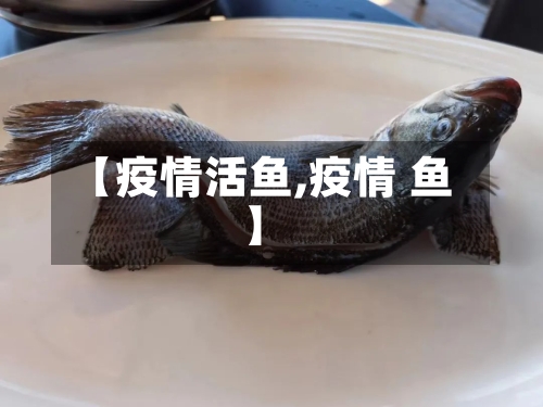 【疫情活鱼,疫情 鱼】