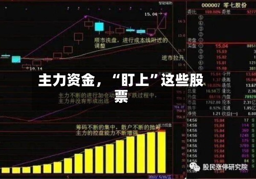 主力资金，“盯上”这些股票