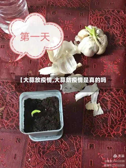 【大蒜放疫情,大蒜防疫情是真的吗】-第2张图片