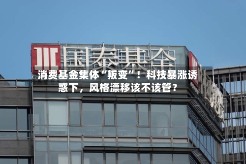 消费基金集体“叛变”！科技暴涨诱惑下	，风格漂移该不该管？-第3张图片